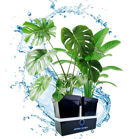 Hydroponic Systems by Bonsanto